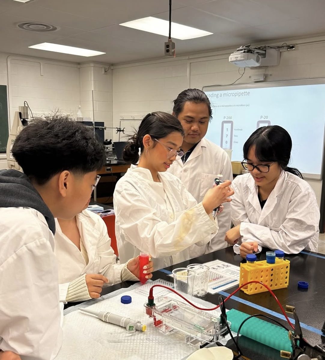 Students practicing pipetting in a wet-lab workshop